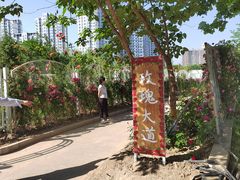 -太阳宫公园