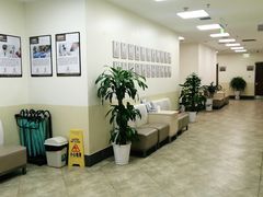 -美联众合动物医院·24h转诊中心