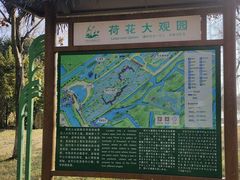 -泗洪洪泽湖湿地景区