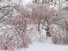 -长春公园(普阳街道)