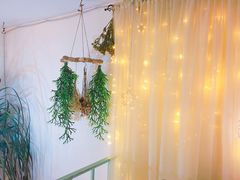-Jo's Garden