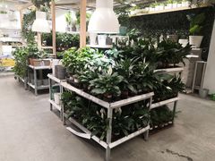 -宜家家居(西安未央商场店)