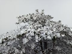 -湖州龙王山景区