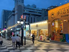 -宝健路步行街(Pedestrian Shopping Street)