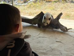-宁波野生动物园