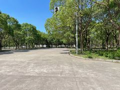 -安飞驰驾校·学车连锁(金高店)