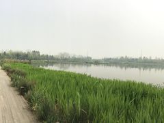 -白鹭湾湿地公园