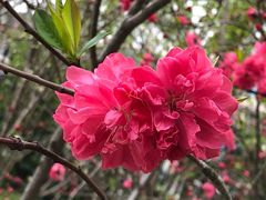 -上海市龙华烈士陵园