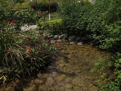 -成飞公园