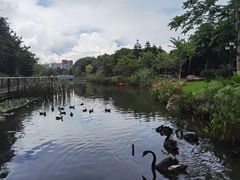 -映月湖公园