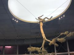 -金光华广场