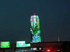 -杨记拉面总店