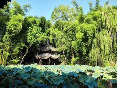 -三苏祠