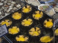 -日月昇渔家菜·海肠捞饭·大连海鲜(星海公园店)