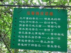 -广东茂名森林公园
