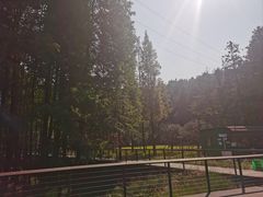 -天花井景区