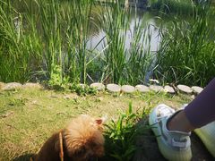 -Wagas沃歌斯(大学路店)