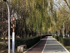 -绿堤公园