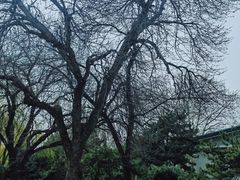 -钓鱼台国宾馆