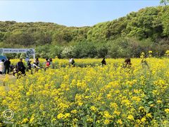 -苏州上方山国家森林公园