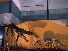 -湖南省地质博物馆