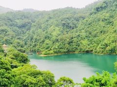 -鼎湖山风景区