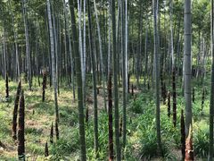 -天目湖御水温泉·度假酒店