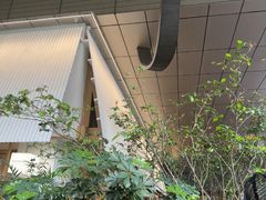 -tea'stone (万象天地店)
