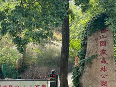 -鲁山国家森林公园