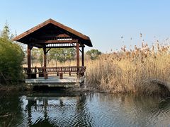 -同里国家湿地公园