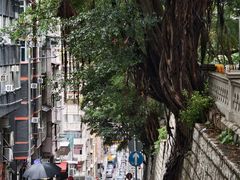 -香港佐治五世纪念公园