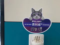 -睿金宠物医院·CT·肿瘤·骨外科