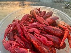 -丹水桥地锅鱼·翘嘴鲌·地方特色全鱼宴(丹江口大坝店)