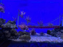 -太平洋海底世界