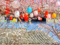 -三里河公园
