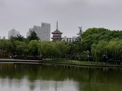 -Sarah西点·烘焙·餐厅(翰林府旗舰店)