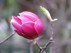-桃花涧