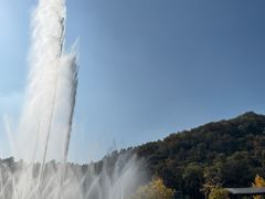 -千年银杏谷文化旅游区