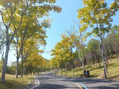 -牛岗山公园
