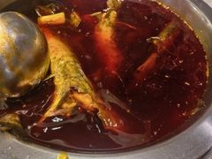 -忘情水鱼头·鲜鱼火锅(滨江中路店)