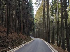-山王坪喀斯特国家生态公园
