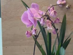 -华雅·云缦酒店(岳阳楼区火车站店)