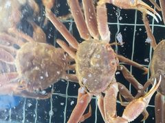 -和源祥·日照菜扛把子(万平口一店)