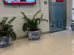 -中国银行(浦江高科技园支行)