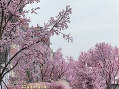 -首开·龙湖成都西宸天街