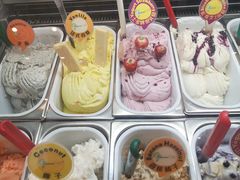 -柠檬车露(卖草地店)