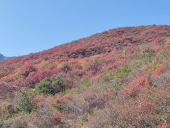 -周口店坡峰岭风景区