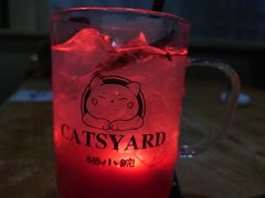 -猫小院猫主题餐厅(南锣旗舰店)