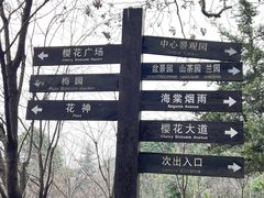 -南山植物园