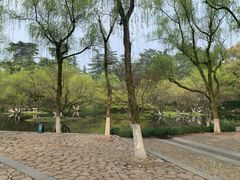 -柳浪闻莺公园